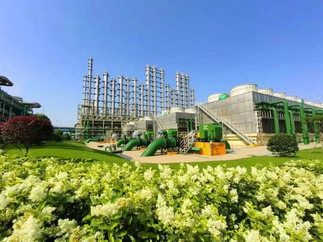 2cf4355e7316db368d187d7b8840cd92.jpg 2cf4355e7316db368d187d7b8840cd92.jpg