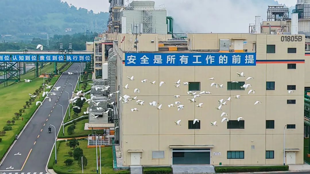 2262e5e3e5ee5c4d666866130c79e530.jpg 2262e5e3e5ee5c4d666866130c79e530.jpg